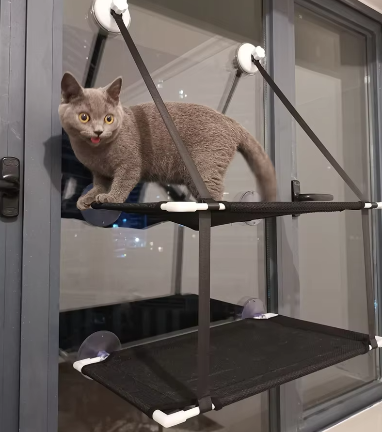 Chat Fenêtre - Peu Encombrant et Stable avec Pieds à Ventouses