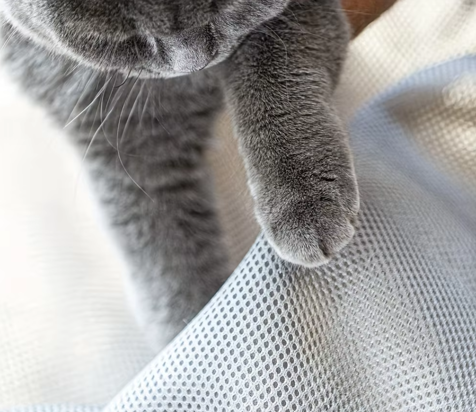 Hamac pour Chats - Lit pour Chats Respirant avec Support Métallique Stable pour des Pauses Confortables