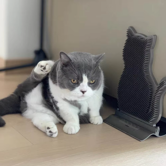 Porte-serviettes en Silicone en Forme de Chat avec Fonction Antidérapante