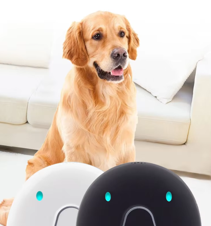 Collier De Chien Avec Traceur Gps - Facile À Attacher Et Fiable