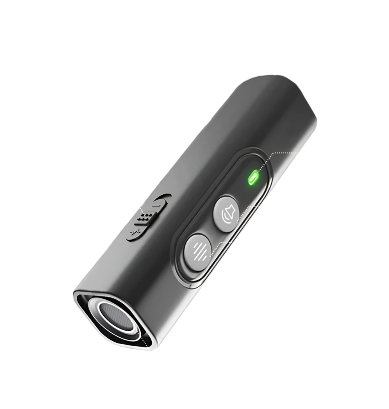 Développeur de Chien Portable avec Télécommande