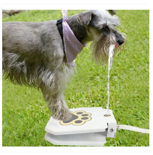 Source D' Eau pour Chiens à L' Extérieur , Résistante aux Coups de Pied , avec Raccordement à L' Eau et Activation des Pattes