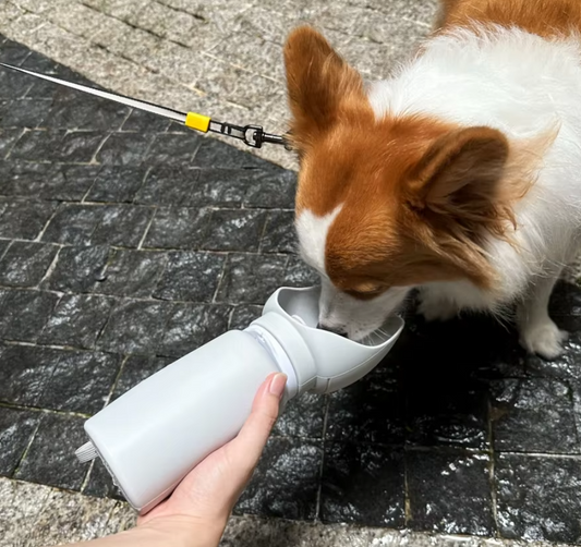Bouteille D' Eau Pliable pour Animaux de Compagnie avec Écuelle Intégrée