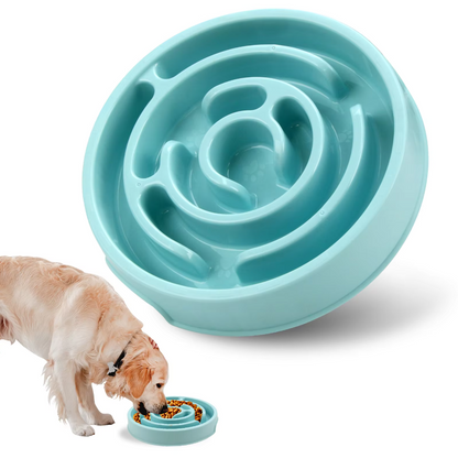 Bol D' Alimentation Lent pour Chiens