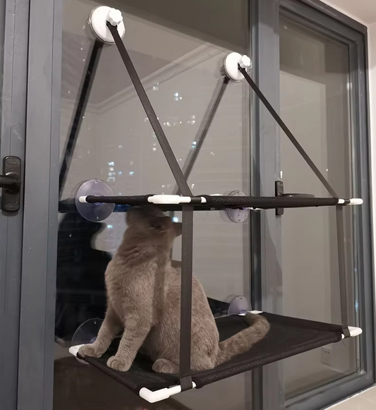Chat Fenêtre - Peu Encombrant et Stable avec Pieds à Ventouses