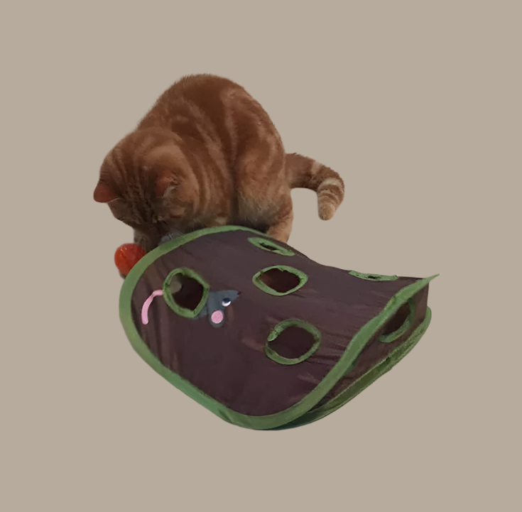 Tente Pour Chats Avec Jouets - Caverne Interactive Avec Souris Et Balles Pour Chats