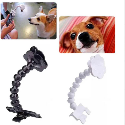 Selfie - Stick pour Animaux de Compagnie avec Support pour Friandises