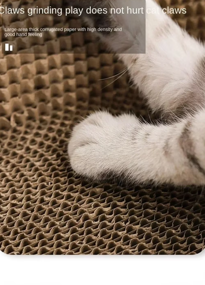 Plateau pour Chats Résistant aux Griffes - Tapis Grattoir Robuste avec Grande Zone de Confort