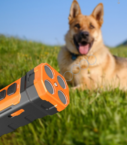 Développeur de Chien Portable avec Télécommande