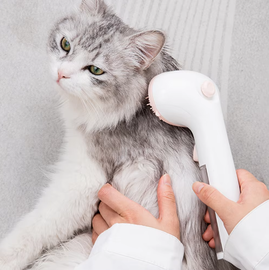Brosse À Mousse Sèche Pour Animaux Domestiques Avec Distributeur De Nettoyage Intégré
