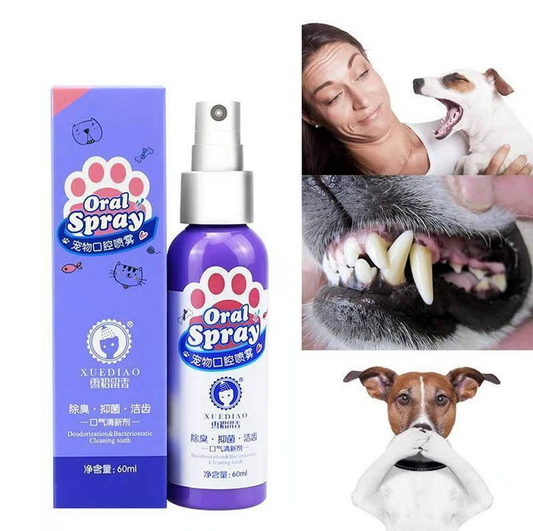 Aspirateur pour Animaux de Compagnie