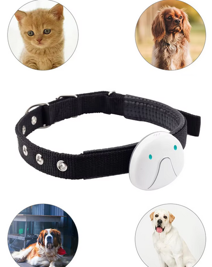 Collier De Chien Avec Traceur Gps - Facile À Attacher Et Fiable