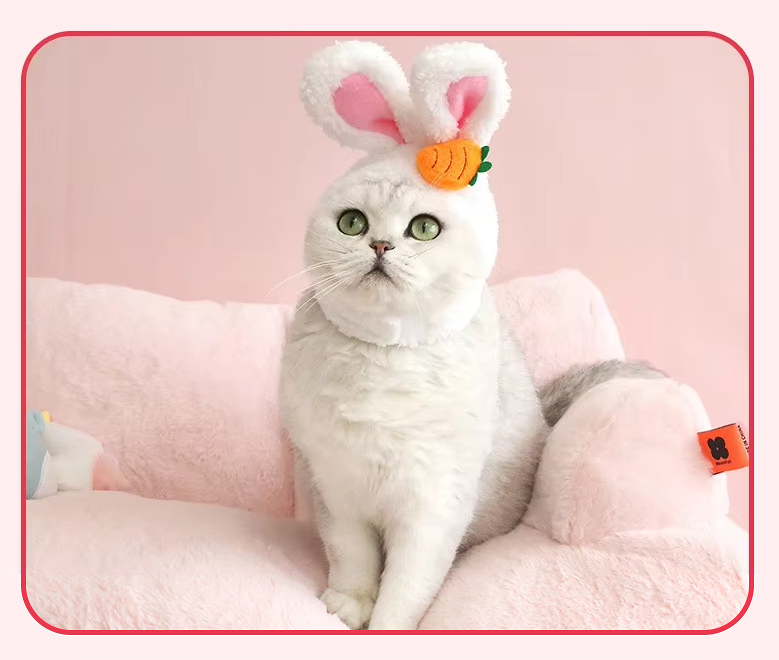 Chapeau pour Chat avec Oreilles de Lapin et Design Carotte ou Fleur pour des Photos Adorables de Compagnons