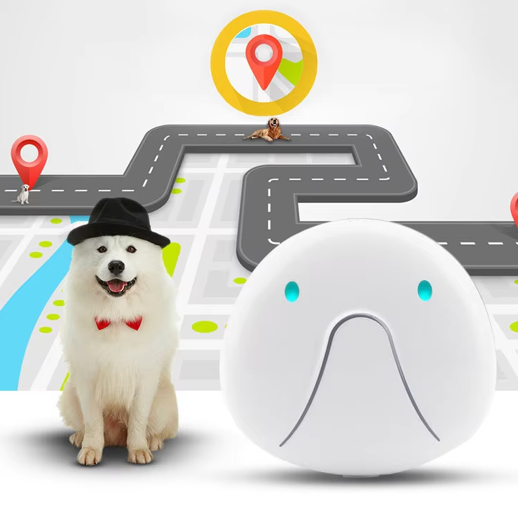 Collier De Chien Avec Traceur Gps - Facile À Attacher Et Fiable