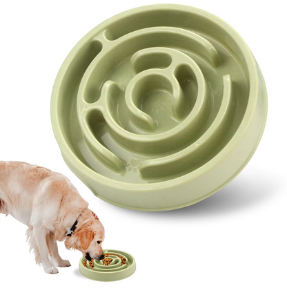 Bol D' Alimentation Lent pour Chiens