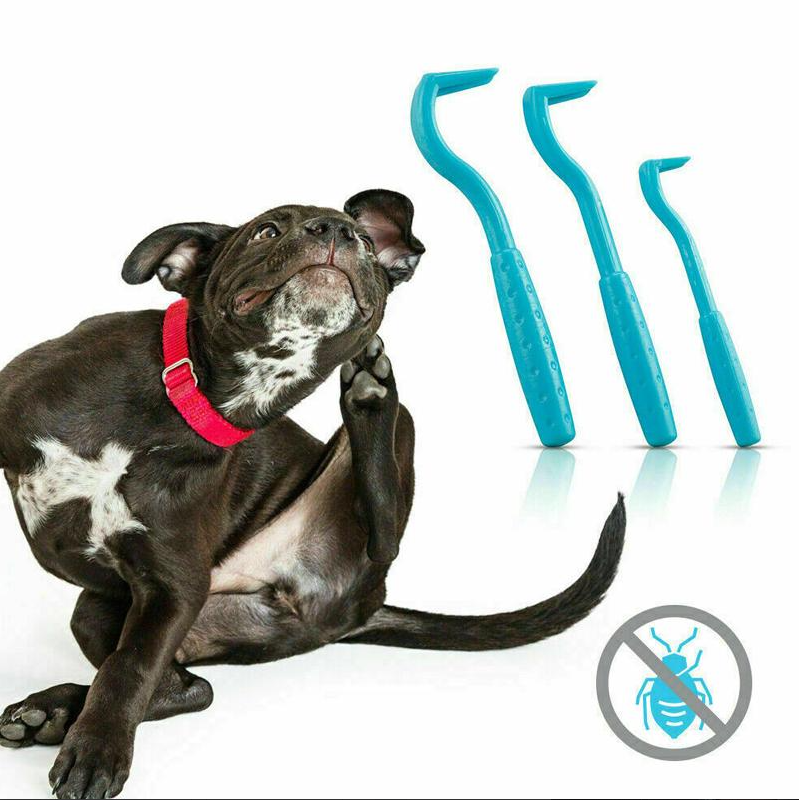 Set de Crochets à Tiques pour Animaux de Compagnie ( 3 Pièces )