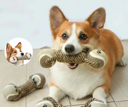 Jouets pour Chiens Corde avec Balles - Jouet à Mâcher pour Chiens avec Empreinte de Patte