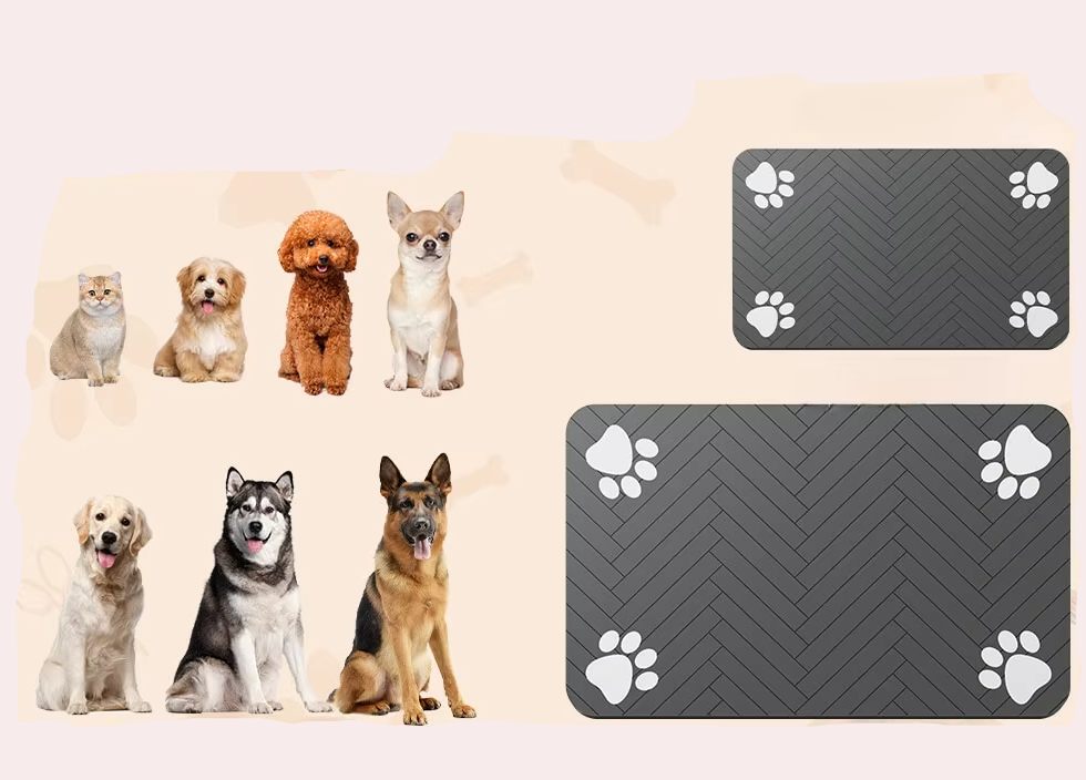 Matériel pour Chiens pour la Nourriture et L' Eau