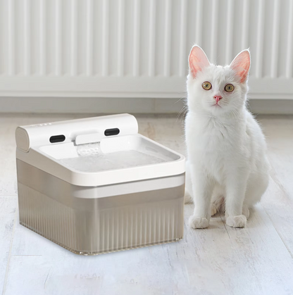 Distributeur D'eau Éléphant Avec Triple Filtration