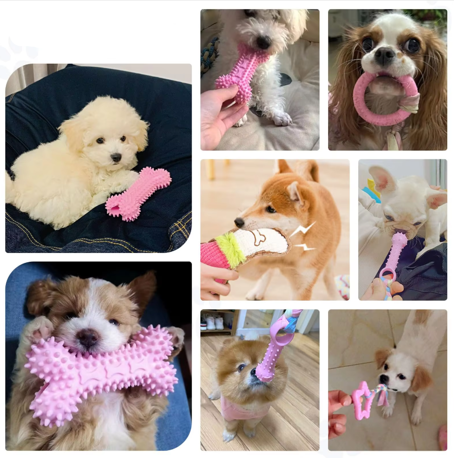 Jouets pour Chiots - Jouets à Mâcher en Peluche Résistant à la Morsure pour Chiens