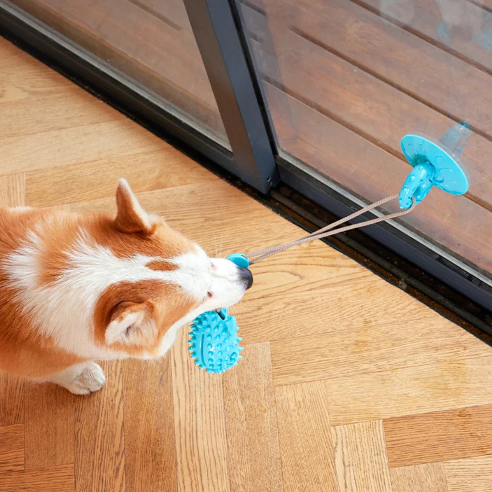 Jouet Friandise À Ventouse Pour Chiens