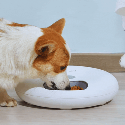 Ecuelle Automatique pour Animaux Domestiques - Distributeur Numérique de Nourriture en Différentes Couleurs
