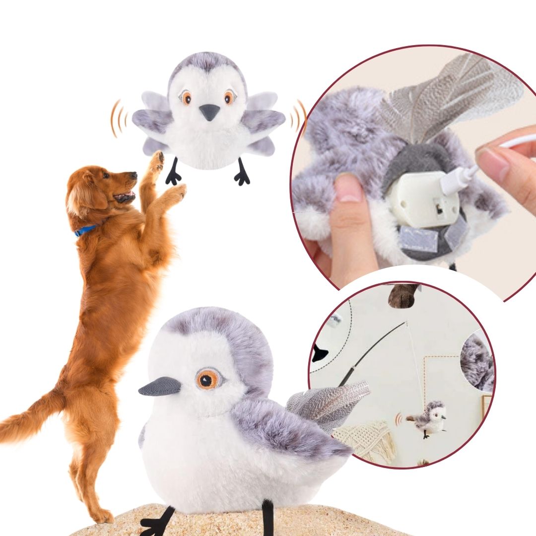 Jouet Pour Chien Interactif Hibou Volant