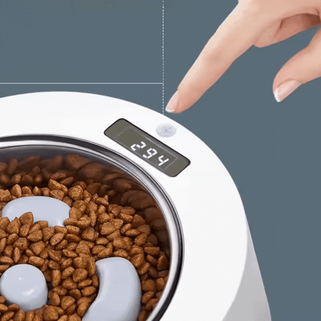 Distributeur Automatique de Nourriture pour Chiens et Chats - Mangeoire Interactive avec Affichage Numérique