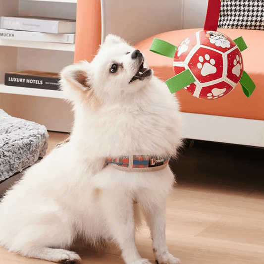 Jouet Interactif pour Chien en Forme de Boule - avec Corde en Nylon et Poignées