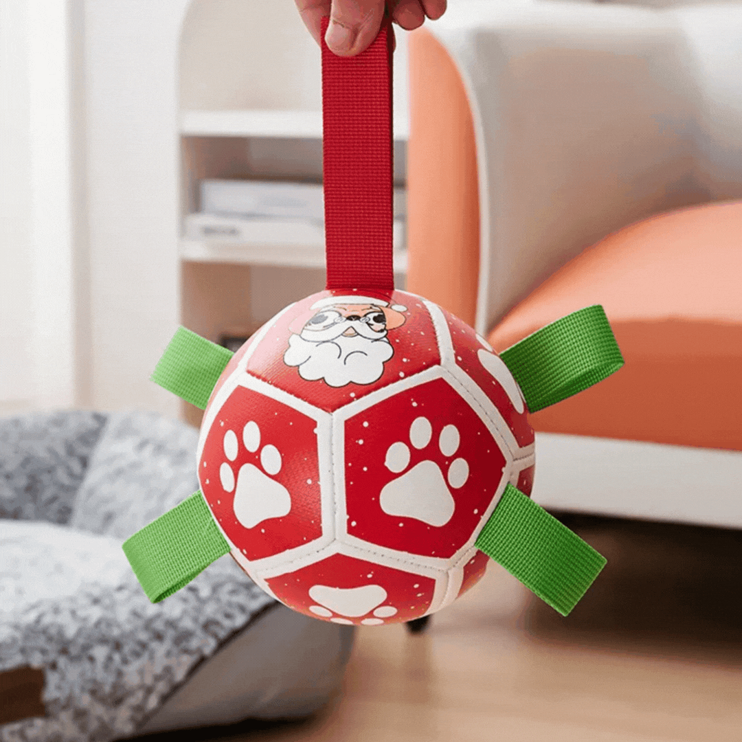 Jouet Interactif pour Chien en Forme de Boule - avec Corde en Nylon et Poignées