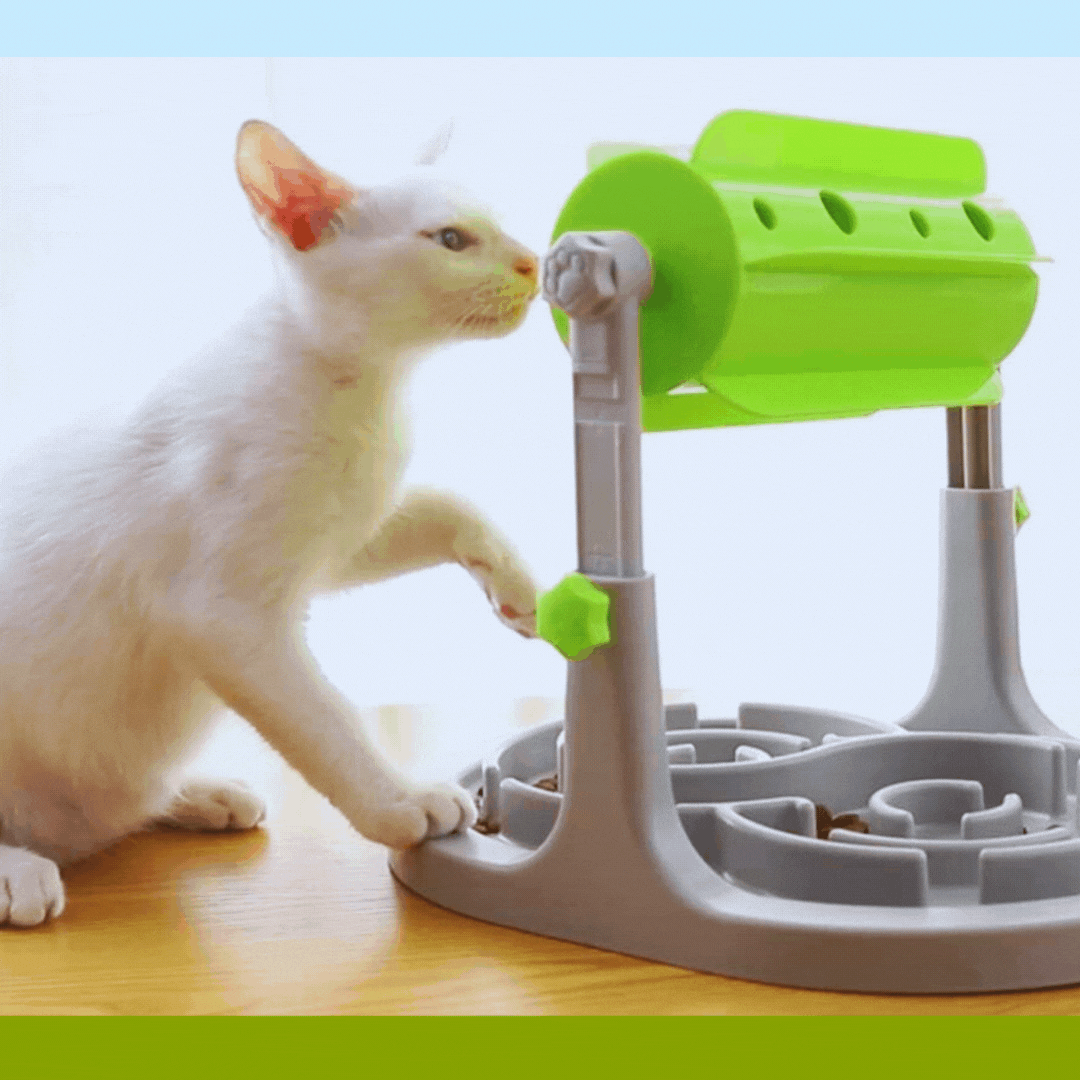 Distributeur De Nourriture Interactif Pour Chiens Avec Fonction Rotative Et Écuelle Anti-glissement