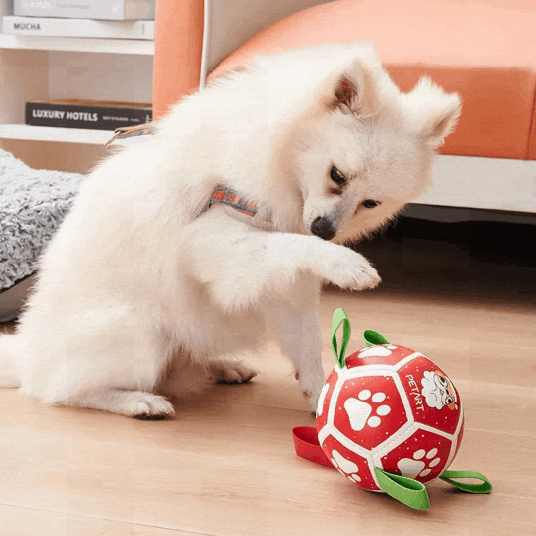 Jouet Interactif pour Chien en Forme de Boule - avec Corde en Nylon et Poignées