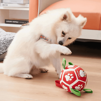 Jouet Interactif pour Chien en Forme de Boule - avec Corde en Nylon et Poignées