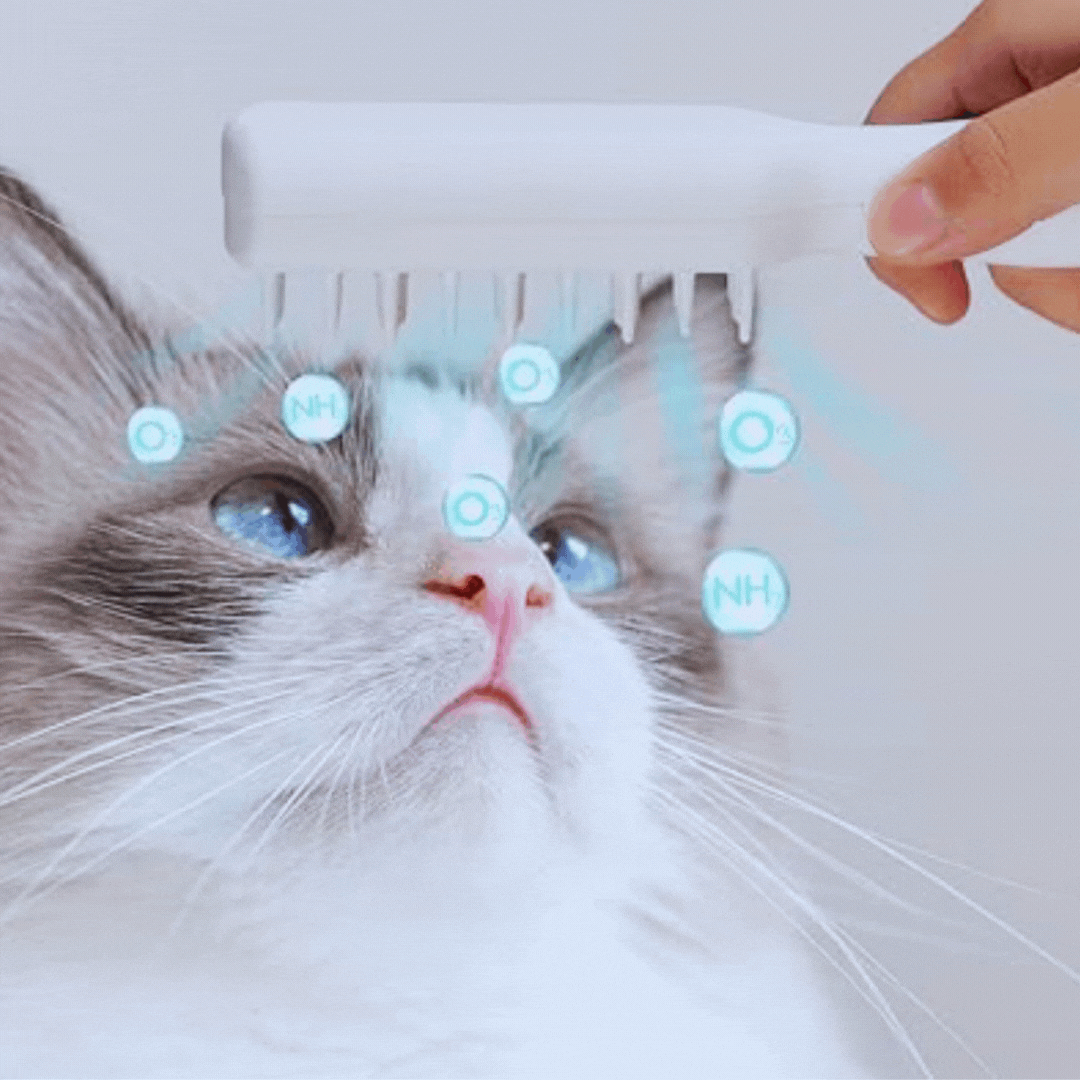 Brosse De Massage Électrique Pour Animaux