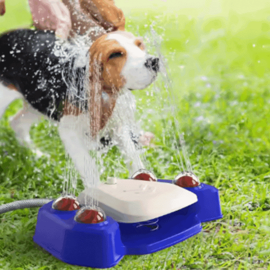 Jouets Sprinkler pour Animaux de Compagnie - Douche Interactive à Jet D' Eau pour Chiens