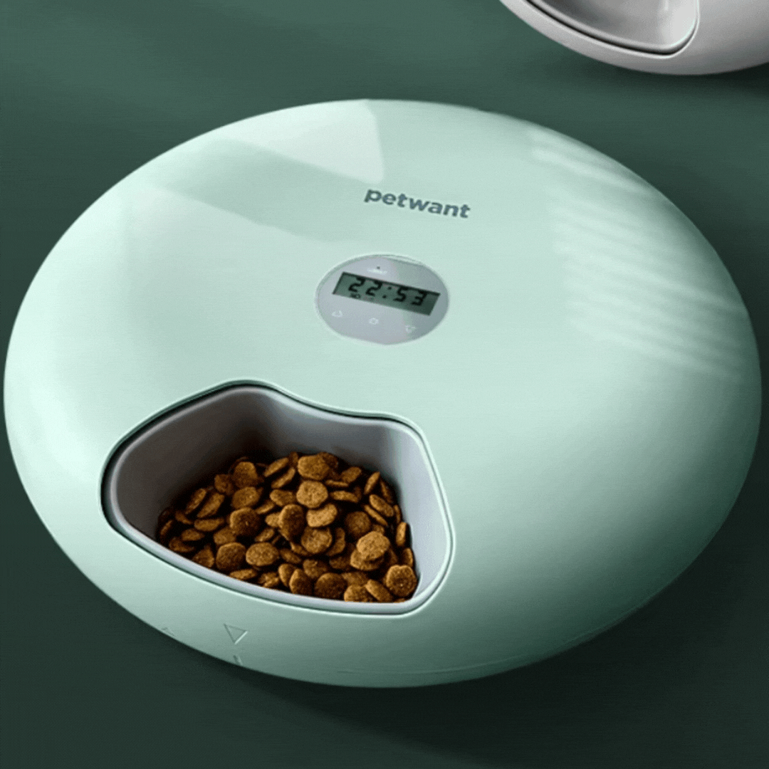 Ecuelle Automatique pour Animaux Domestiques - Distributeur Numérique de Nourriture en Différentes Couleurs