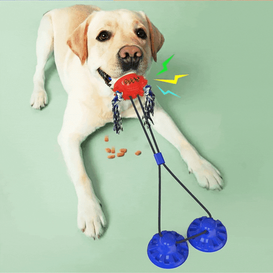 Jouet Interactif pour Chien avec Ventouses et Distributeur de Friandises