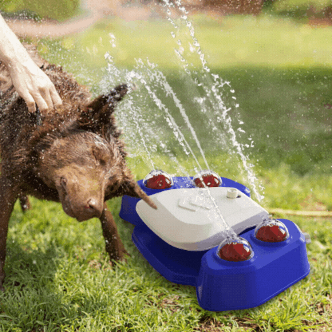 Jouets Sprinkler pour Animaux de Compagnie - Douche Interactive à Jet D' Eau pour Chiens