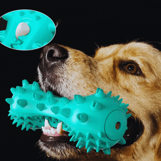 Jouets pour Chiens Activés par le Son - Spikes Jouet à Mâcher pour Chiens