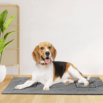 Serviette Microfibre Pour Animaux Domestiques Avec Poches Intégrées