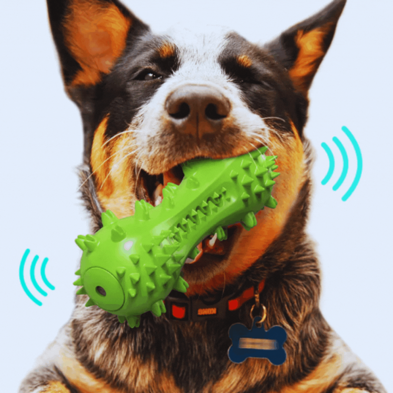 Jouets pour Chiens Activés par le Son - Spikes Jouet à Mâcher pour Chiens
