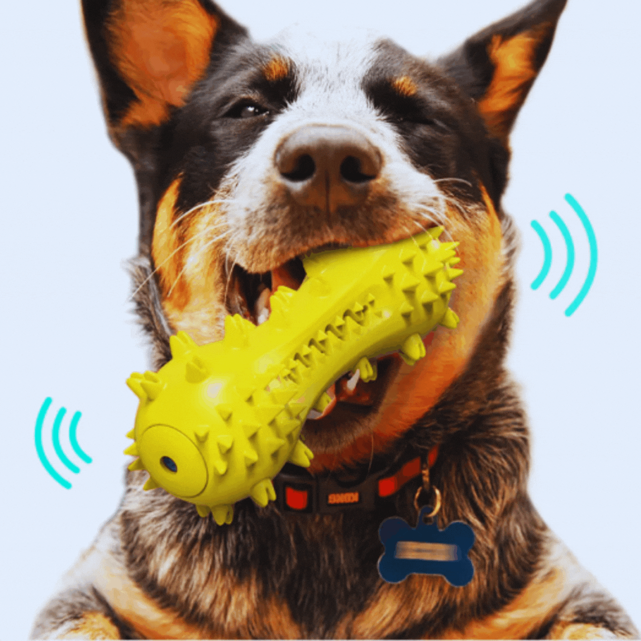 Jouets pour Chiens Activés par le Son - Spikes Jouet à Mâcher pour Chiens