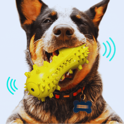 Jouets pour Chiens Activés par le Son - Spikes Jouet à Mâcher pour Chiens