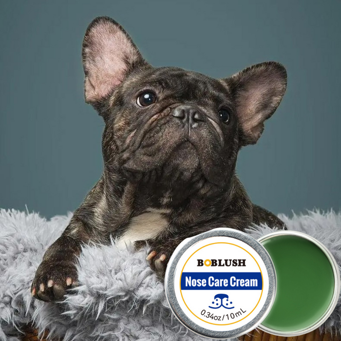 Crème de soin et de protection pour truffe de chien