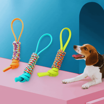 Jouets pour Chiens en Corde - Corde de Traction Colorée à Mâcher et à Jouer