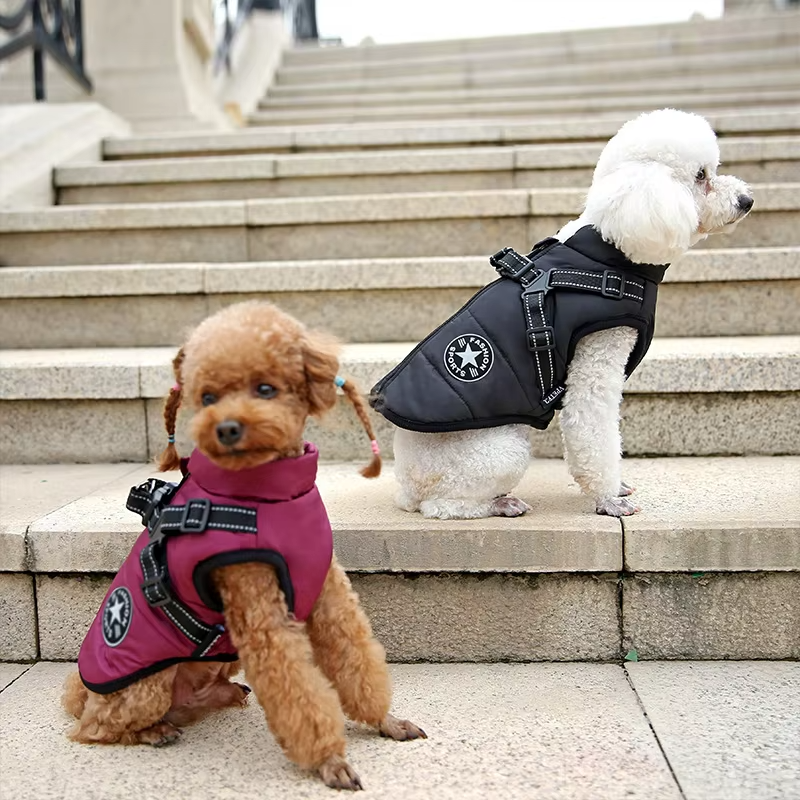 Veste Pour Chien Coupe-vent Et Imperméable Avec Harnais Intégré