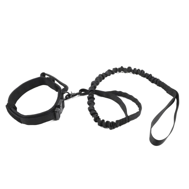 Collier De Chien Réglable En Nylon Avec Fermeture Robuste Par Clic