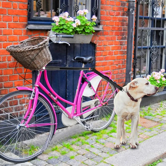 Laisse De Vélo Pour Chien Avec Suspension