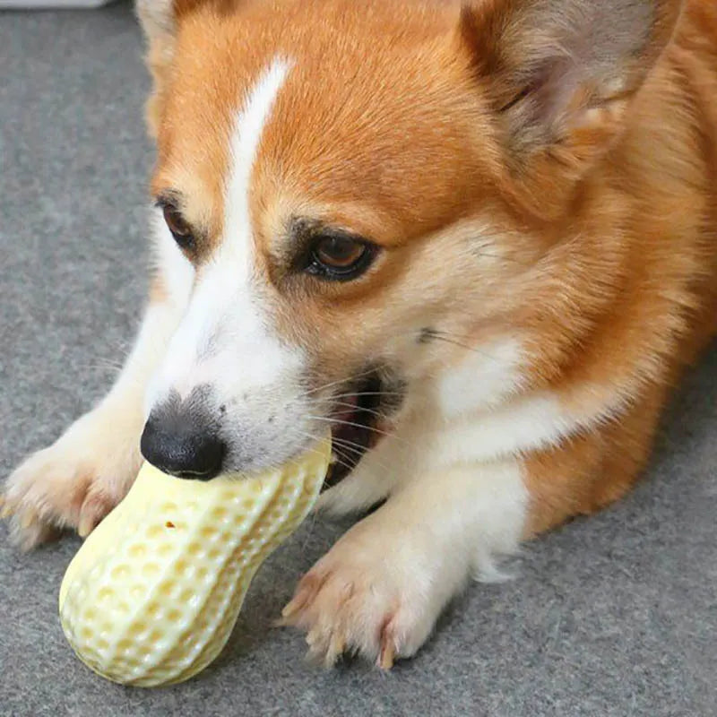 Jouets pour Chiens en Forme de Cacahuète - Jouet à Mâcher avec Trou Sonore pour Chiens