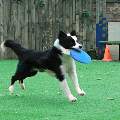 Jouets pour Chiens Frisbee - Disque Robuste pour des Jeux Actifs